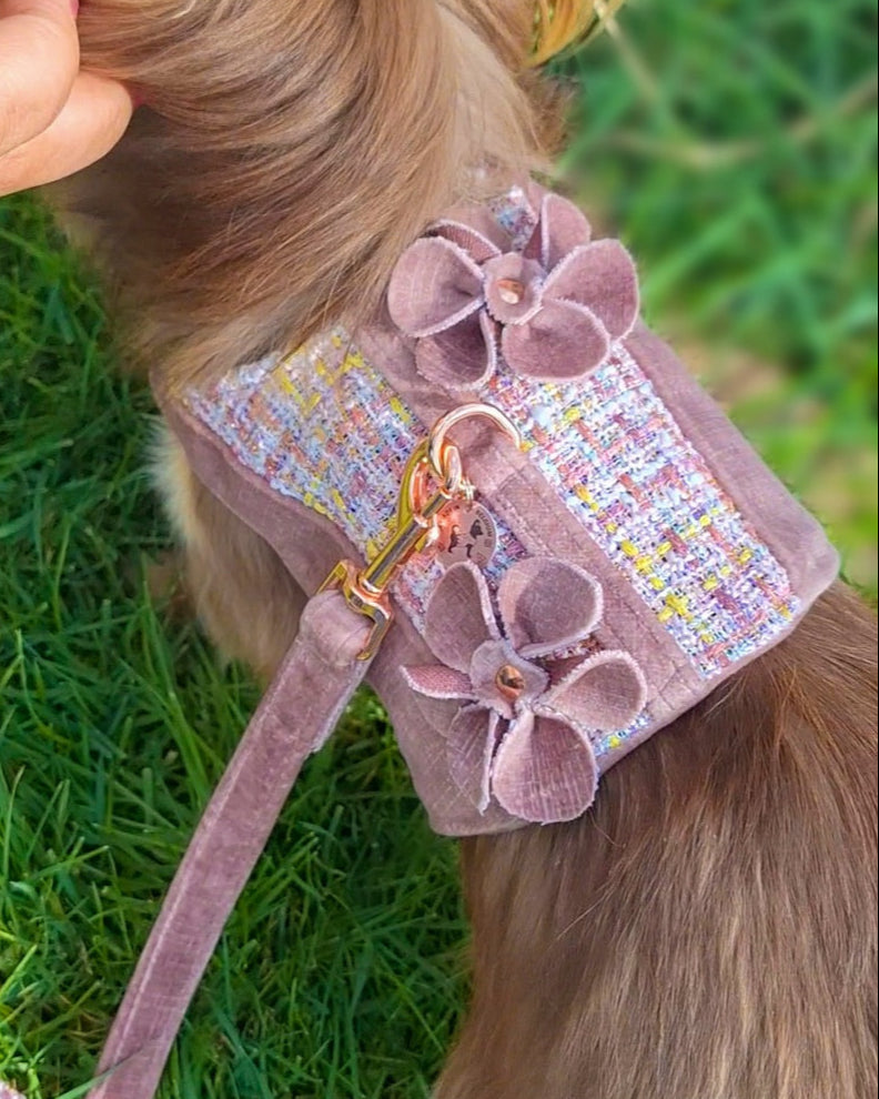 FIFI | BLOOM BABY BLOOM HONDENTUIGJE