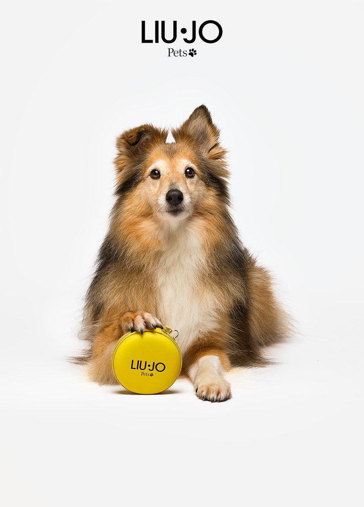 LIU JO | OPVOUWBARE HONDENKOMMEN GEEL