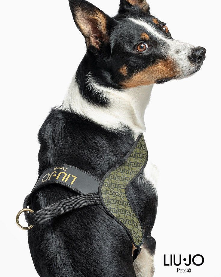LIU JO | HONDENTUIGJE MILLITARY GREEN