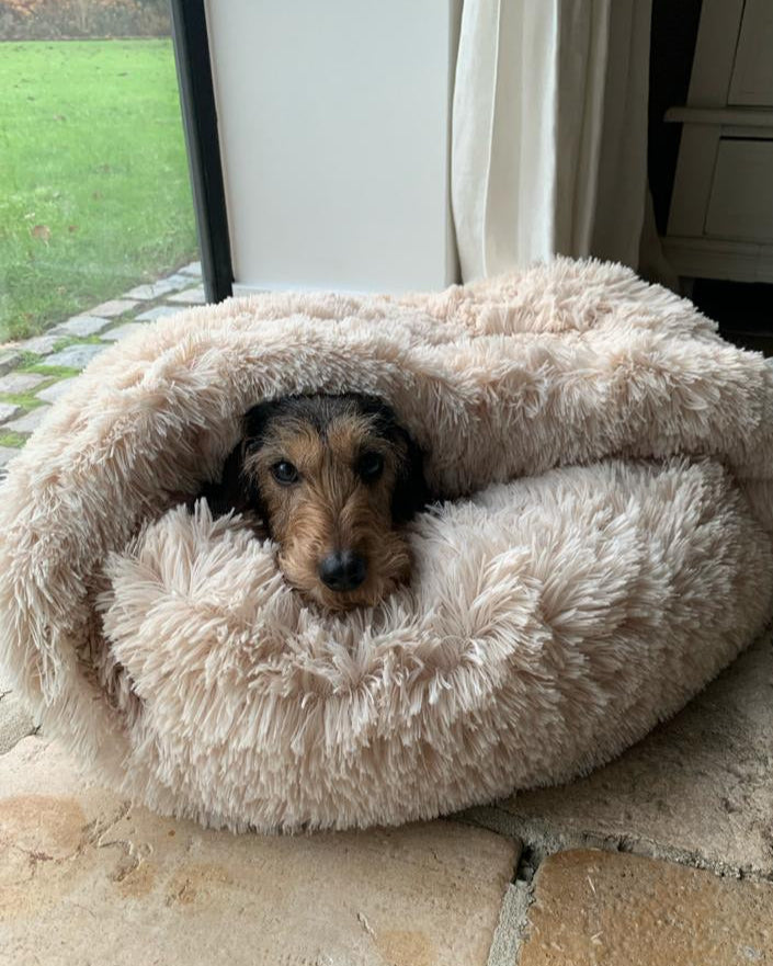 O'LALAPETS | TEDDY BEIGE HONDENSLAAPZAK-MAND