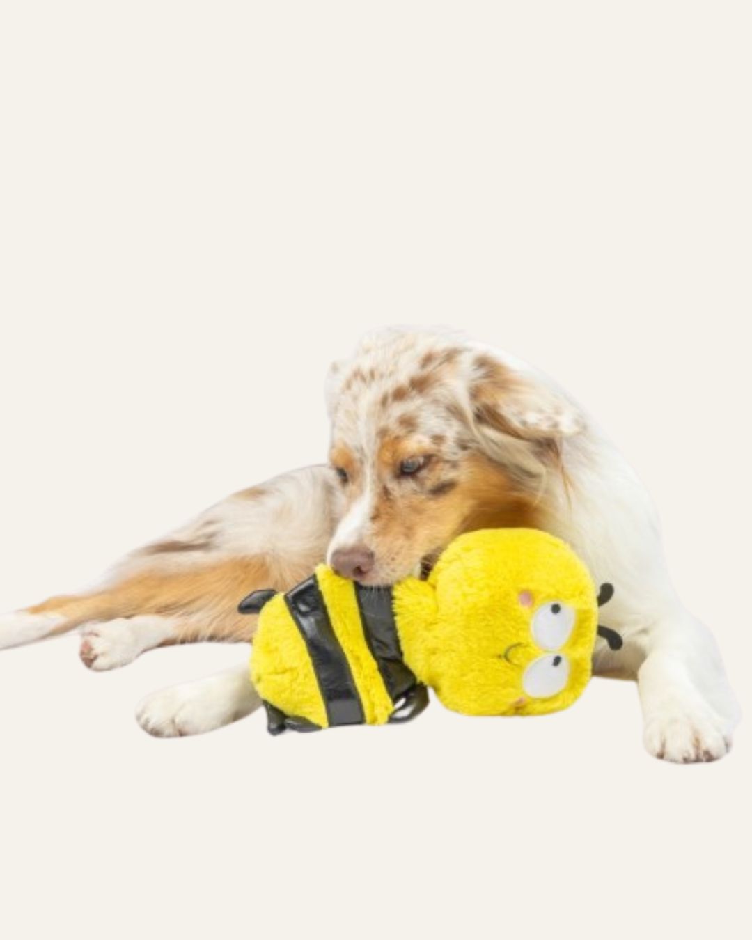 LULEBELLES | BUZZ BEE