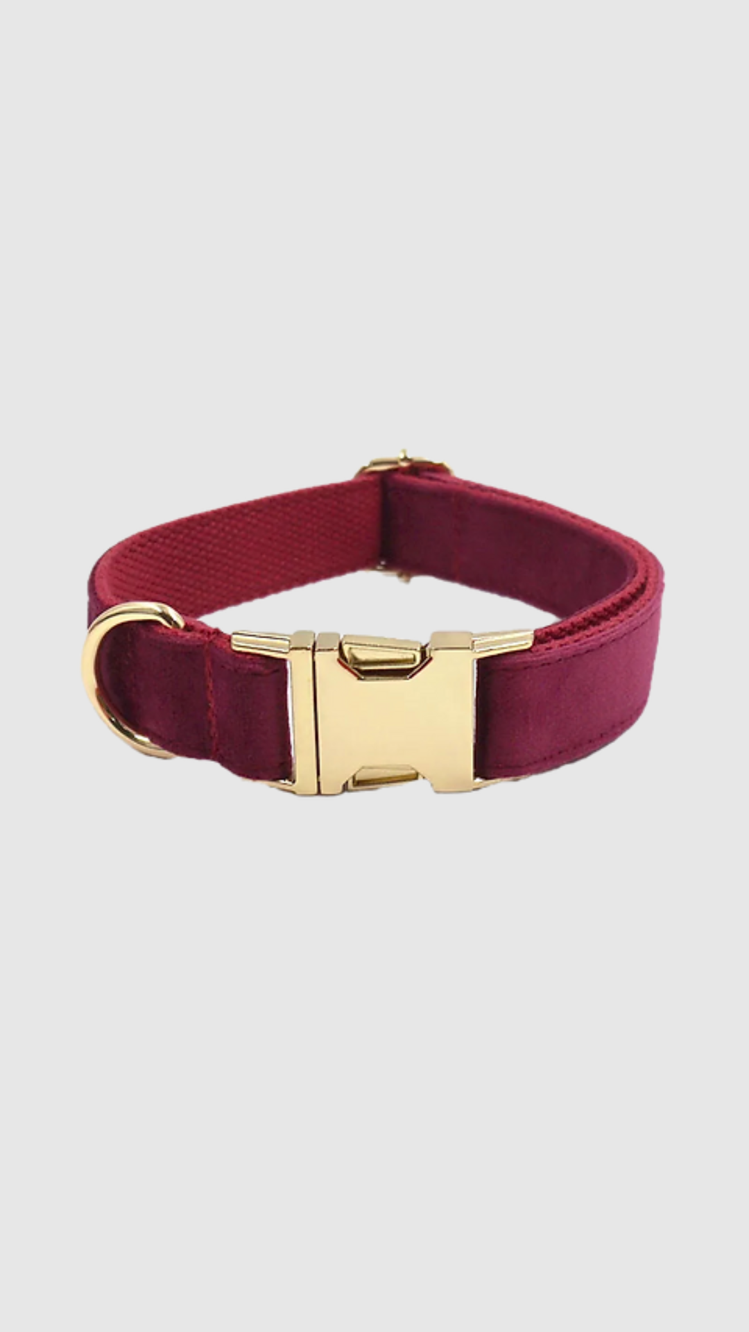 STUDIO | MERLOT HONDENHALSBAND