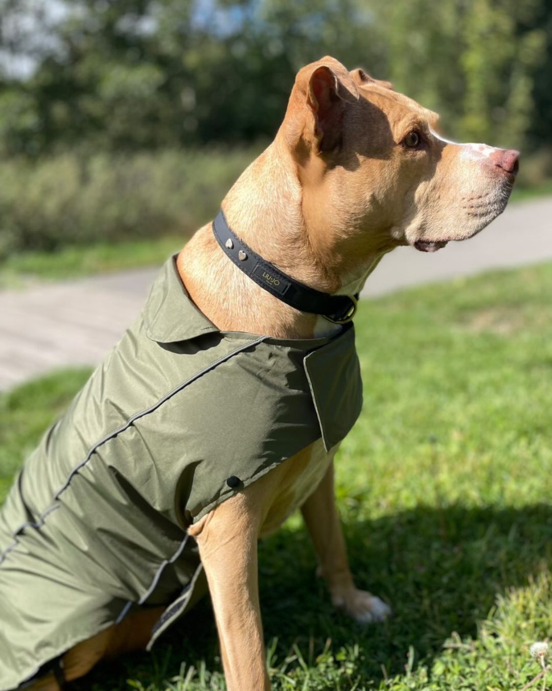 FARM COMPANY | RAINCOAT ARMY GREEN