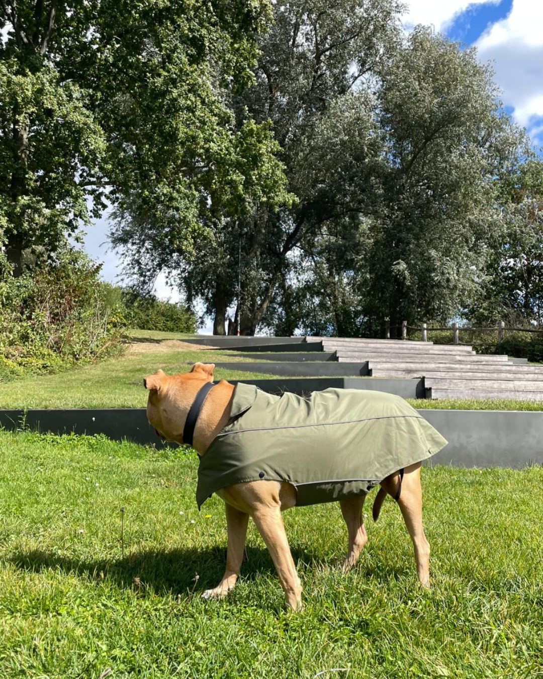 FARM COMPANY | RAINCOAT ARMY GREEN