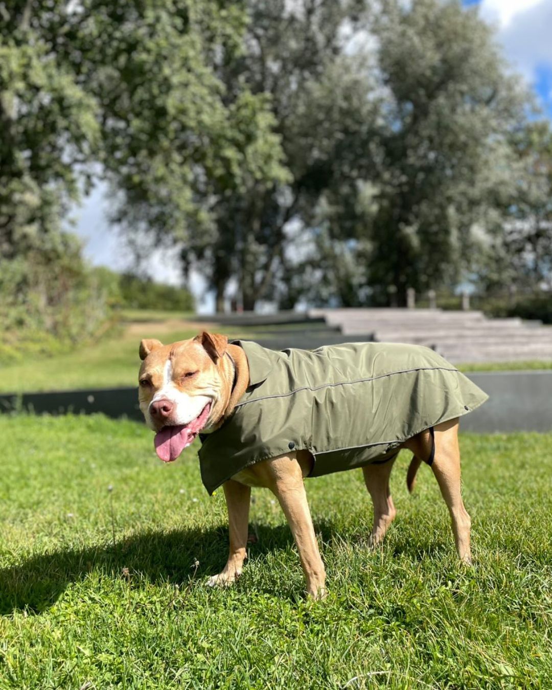 FARM COMPANY | RAINCOAT ARMY GREEN
