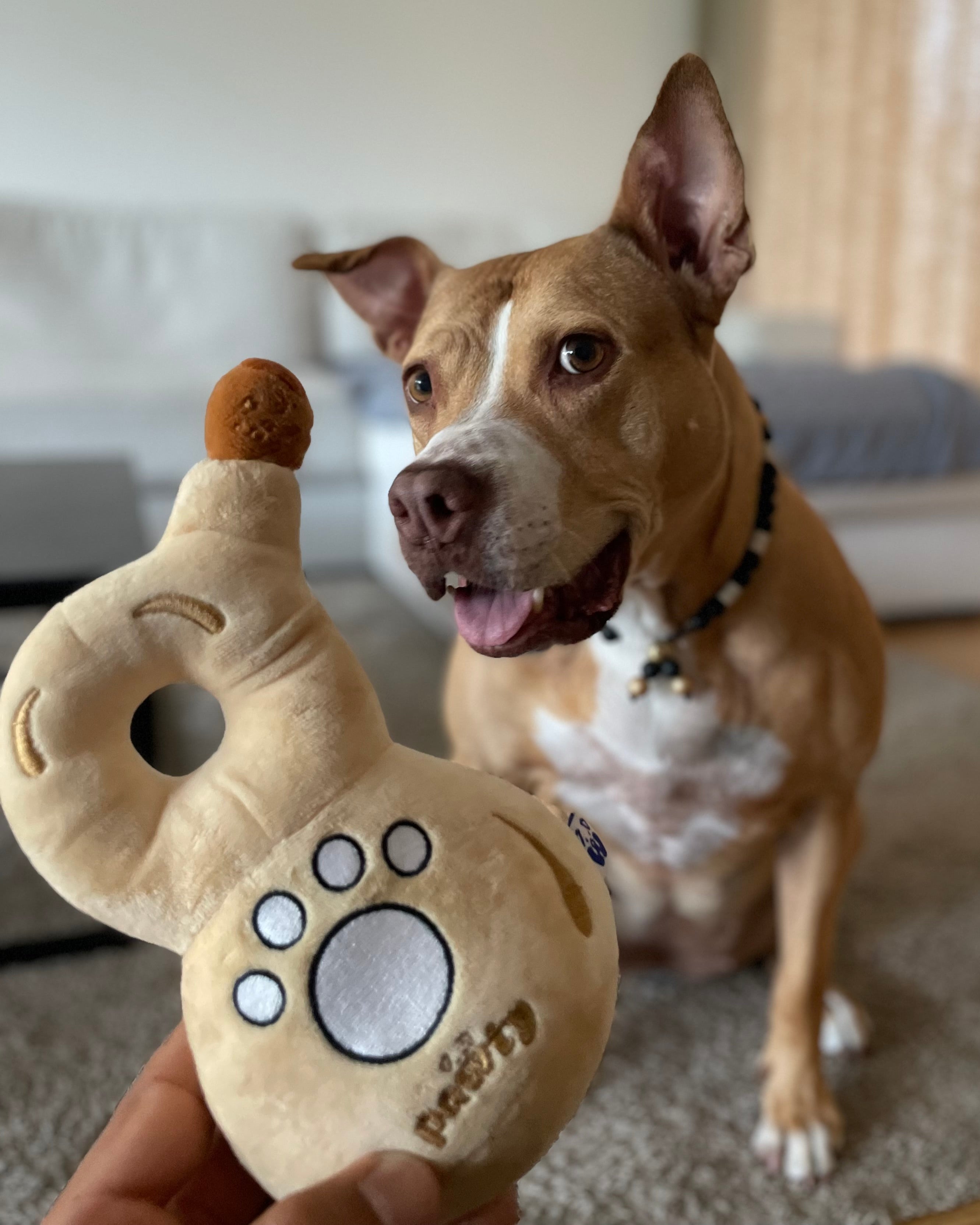 888 TEQUILA | BOTTLE FOR DOGS
