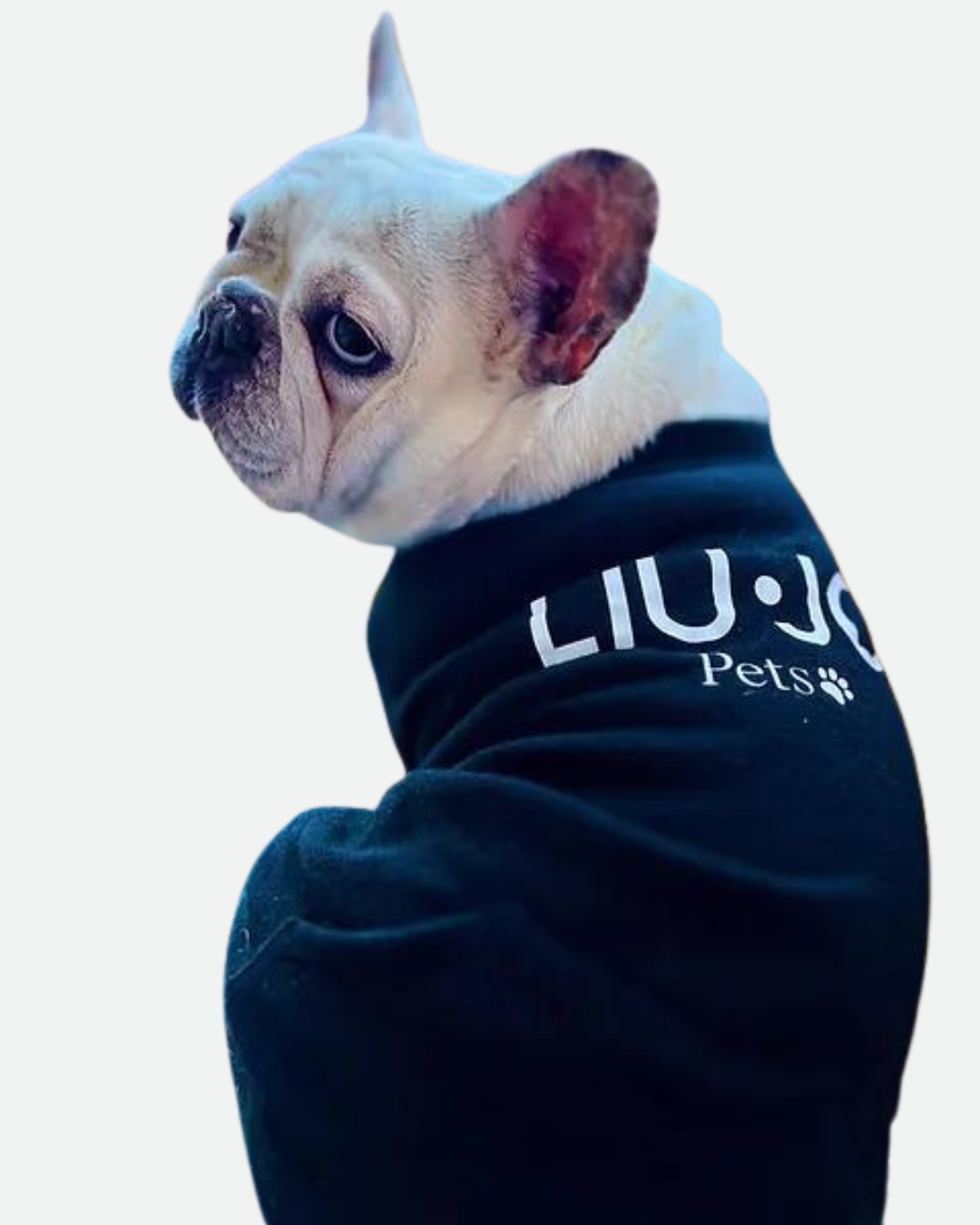 LIU JO PETS | HOODIE LJ