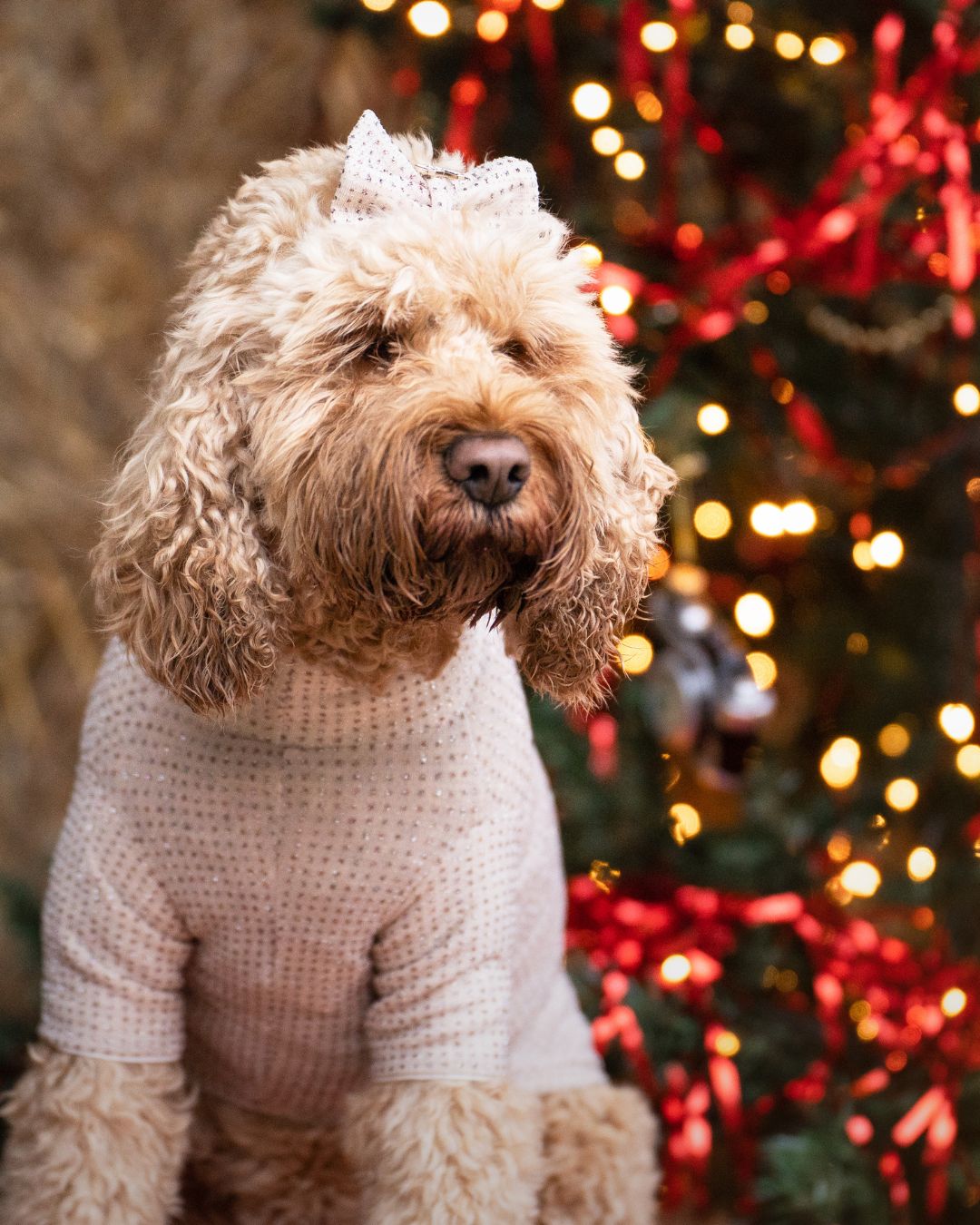 LIU JO | CHRISTMAS SWEATER