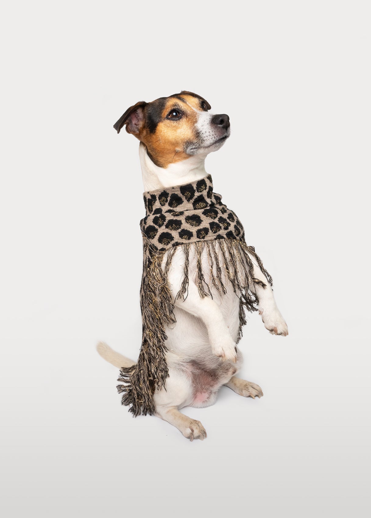 LIU JO | PANTER PONCHO