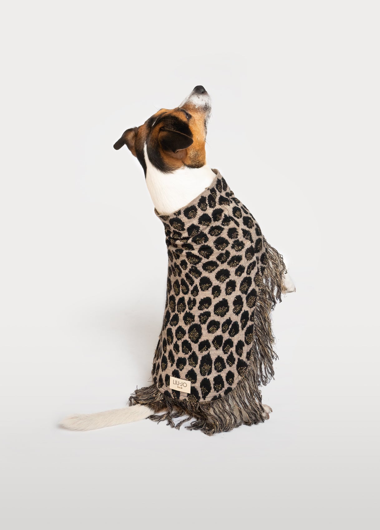 LIU JO | PANTER PONCHO