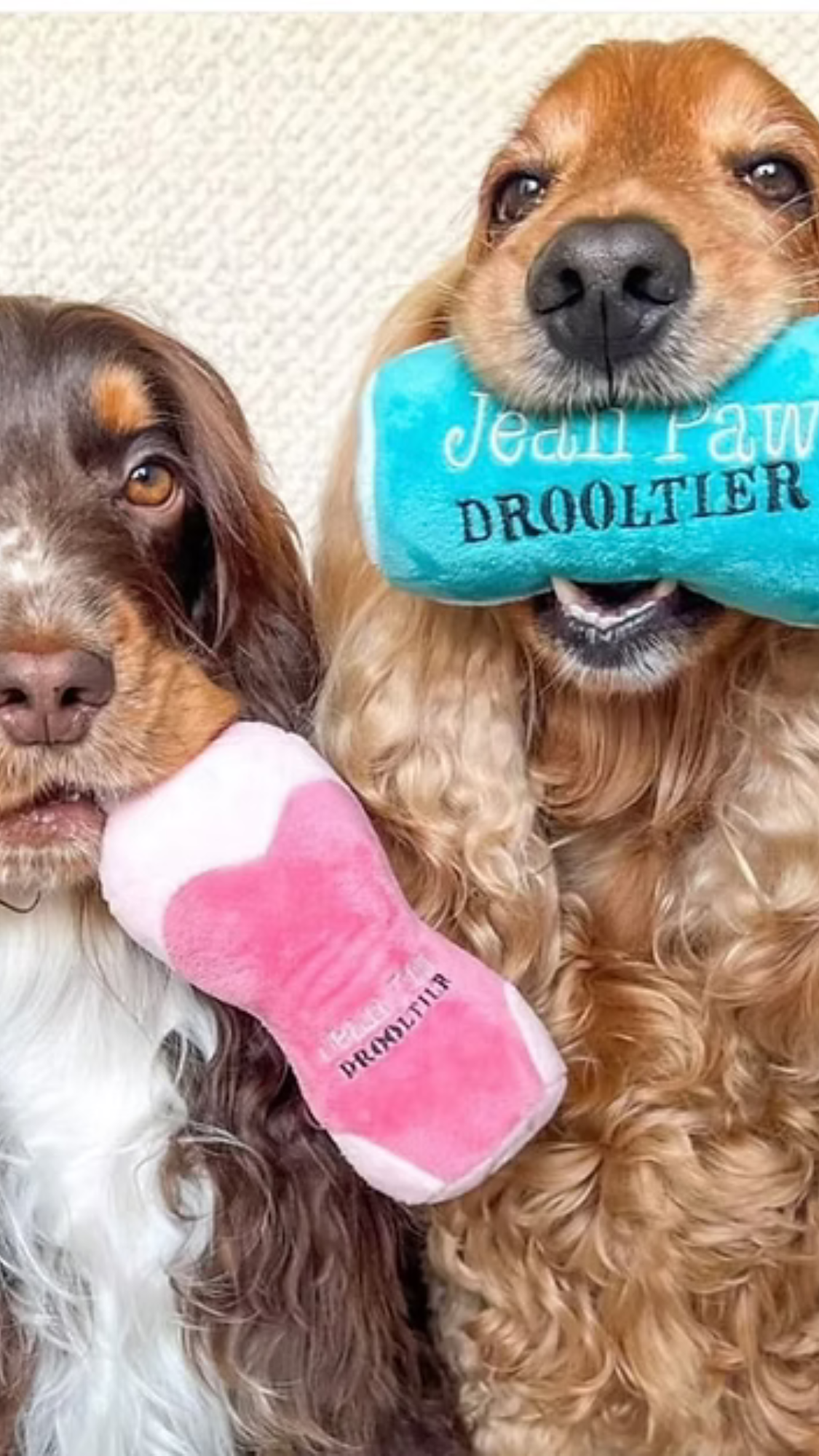JP DROOLTIER | BOTTLE TOY
