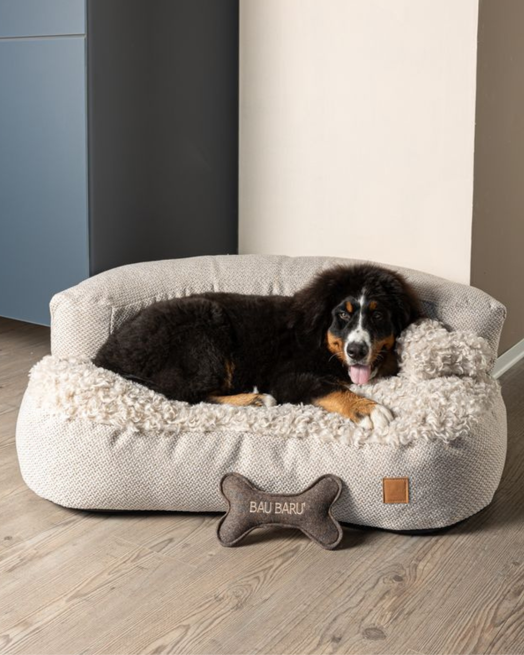 Hond in een handgemaakte Bau Barù design hondenmand uit Italië