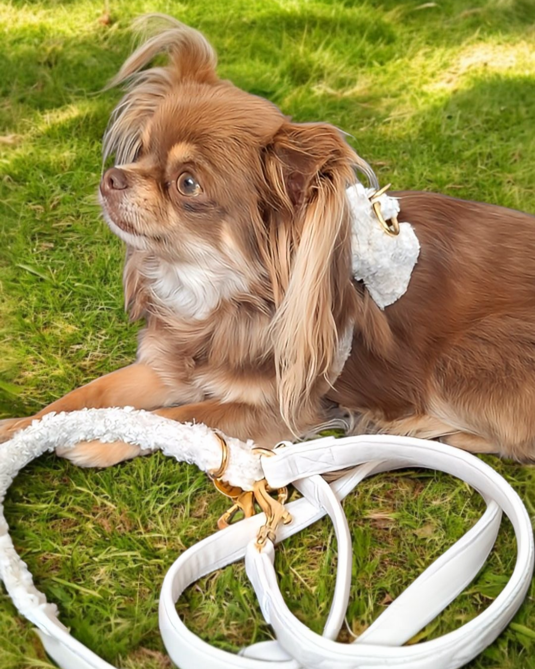 FIFI | LUXE LILLY ECRU