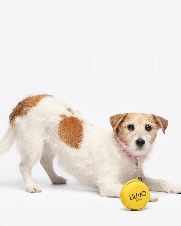 LIU JO | POEPZAKHOUDER GEEL