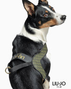 LIU JO | HARNESS MILLITARY GREEN