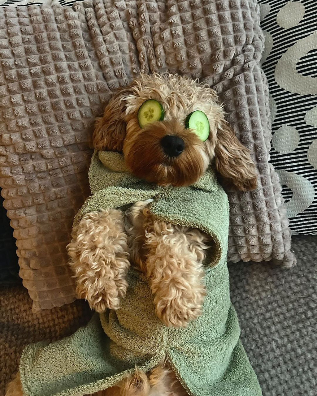 FIFI | Hondenbadjas Olive