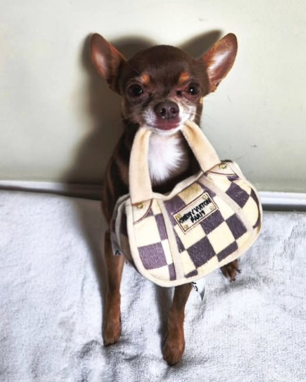 CHEWY VUITON | Iconic Bag