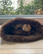 O'LALAPETS | TEDDY BROWN HONDENSLAAPZAK-MAND