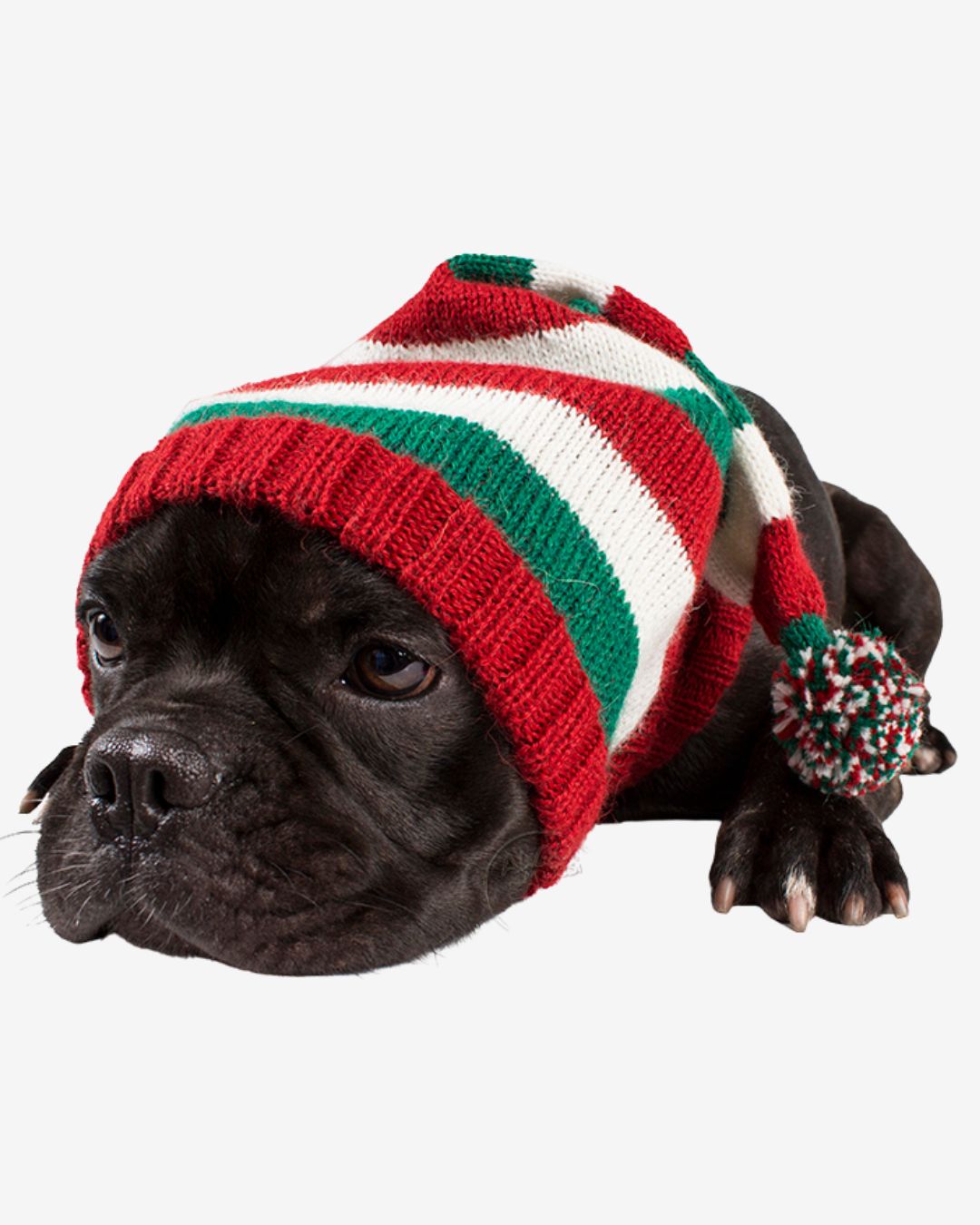 CHRISTMAS | ELF HAT