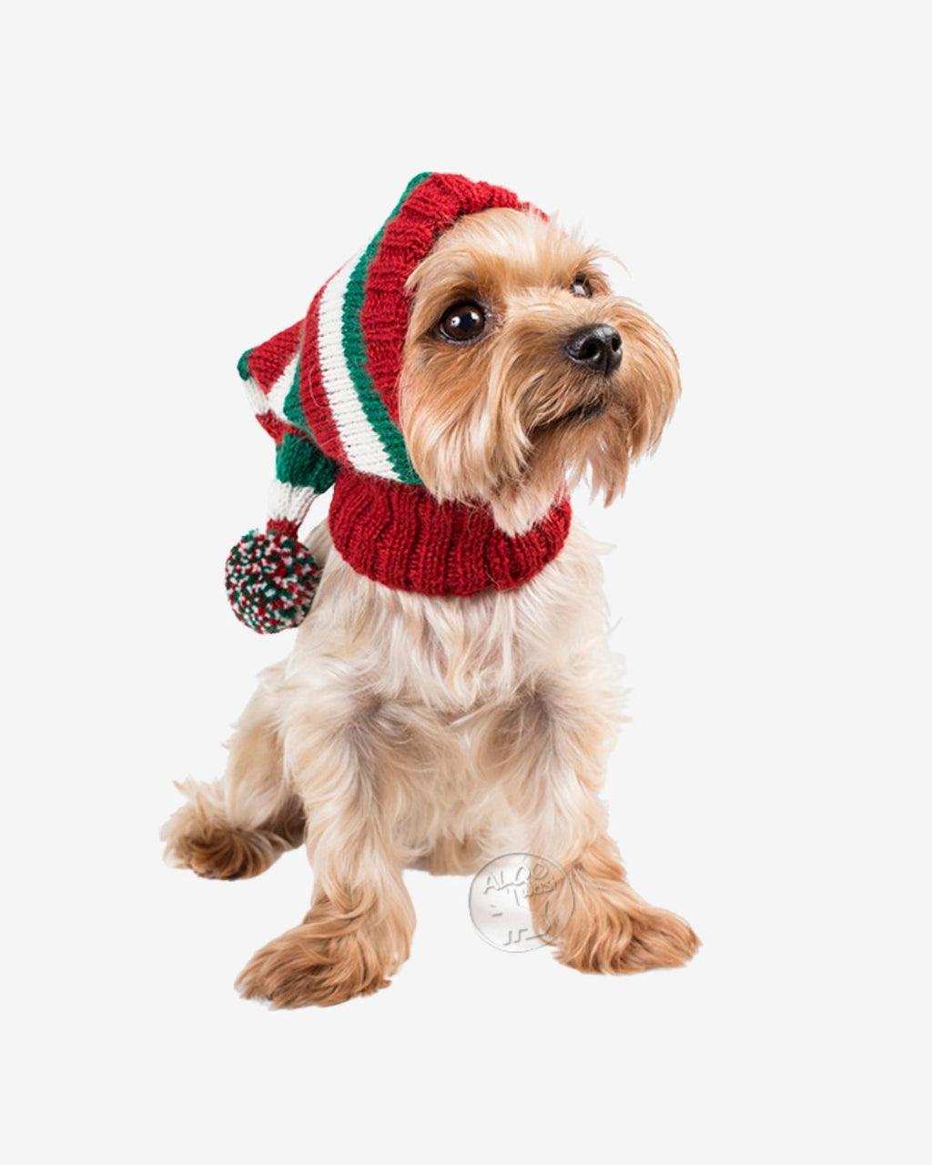 CHRISTMAS | ELF HAT