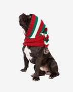 CHRISTMAS | ELF HAT