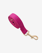 STUDIO | Flamingo Leash