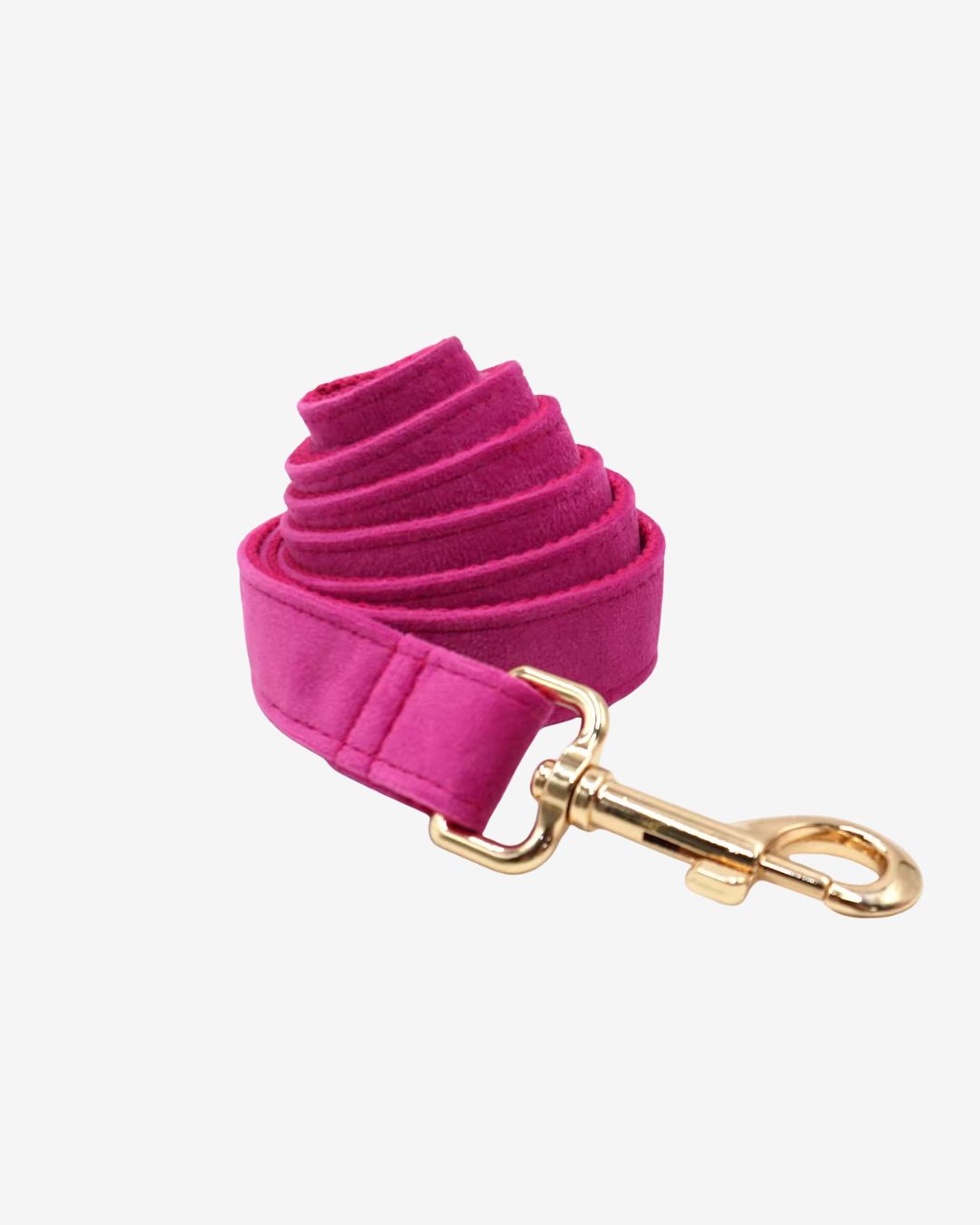 STUDIO | Flamingo Leash