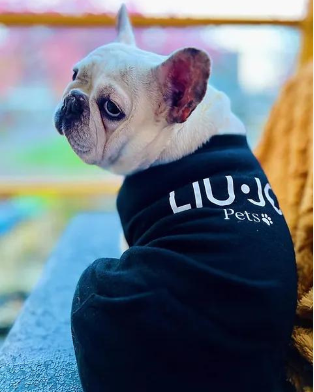 LIU JO | Luxe Black Hoodie