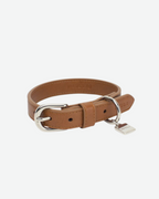 NEULA | CONFIDENCE COLLAR