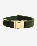 STUDIO | Pistachio Hondenhalsband