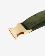 STUDIO | Pistachio Hondenhalsband