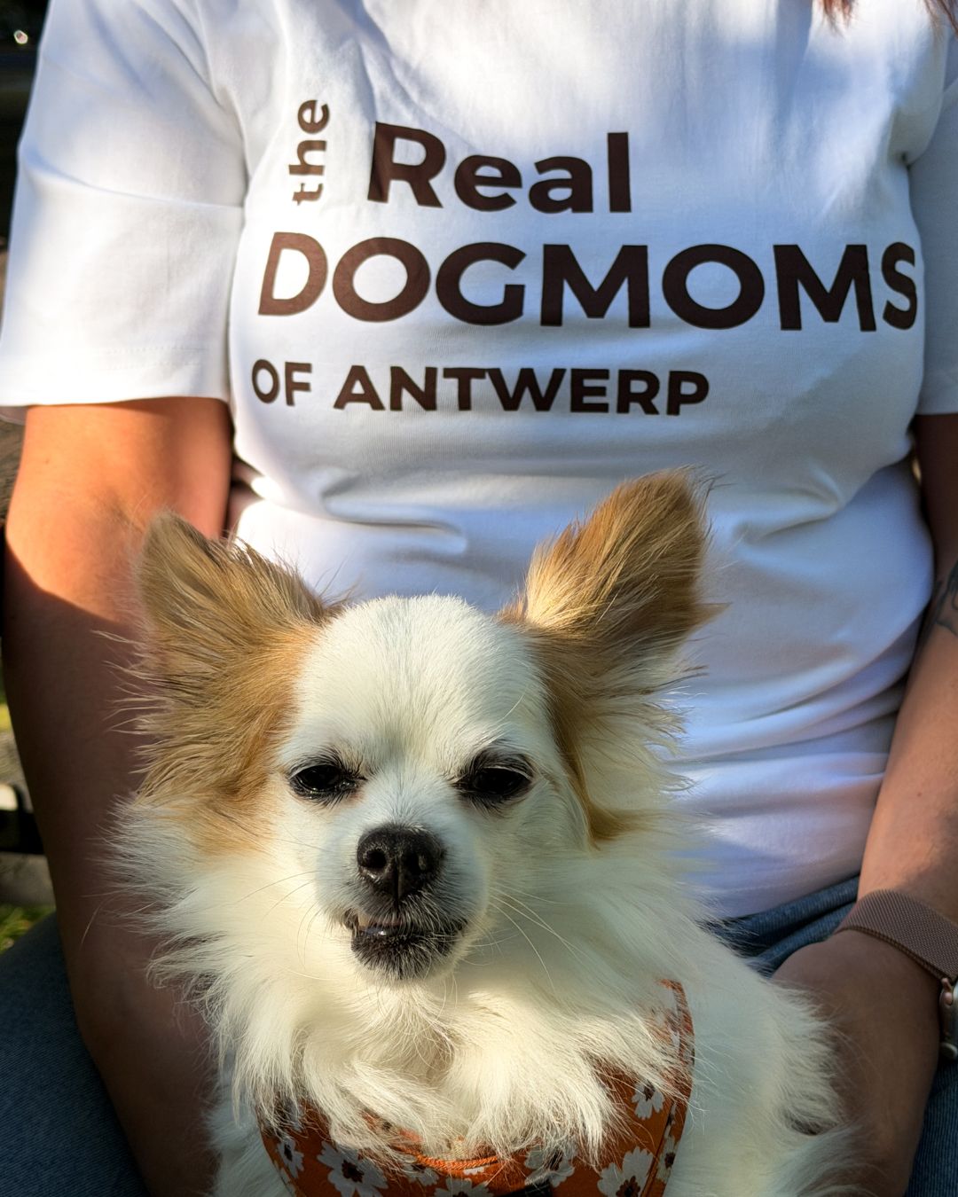 The Real Dogmoms of Antwerp T-shirt gedragen door dogmom met kleine hond