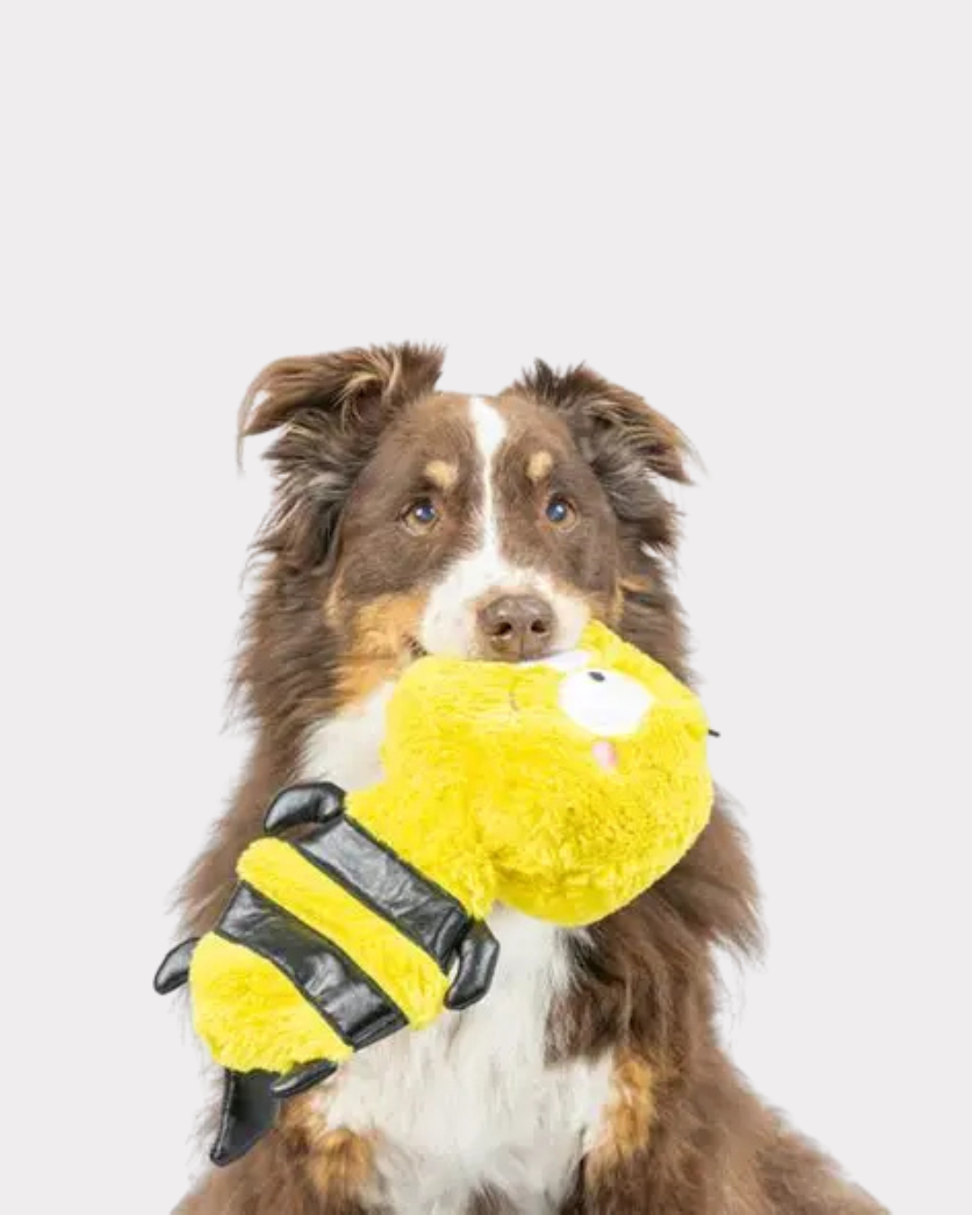 HUXLEY & KENT | Buzzy Bee