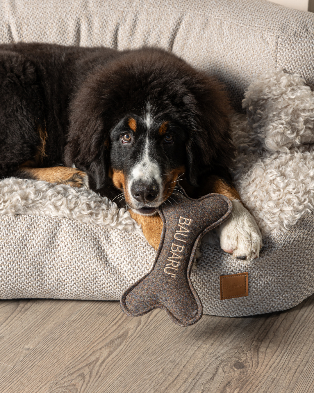 Close-up van hond liggend in de Bau Barù Il Sofà Baldo luxe hondensofa