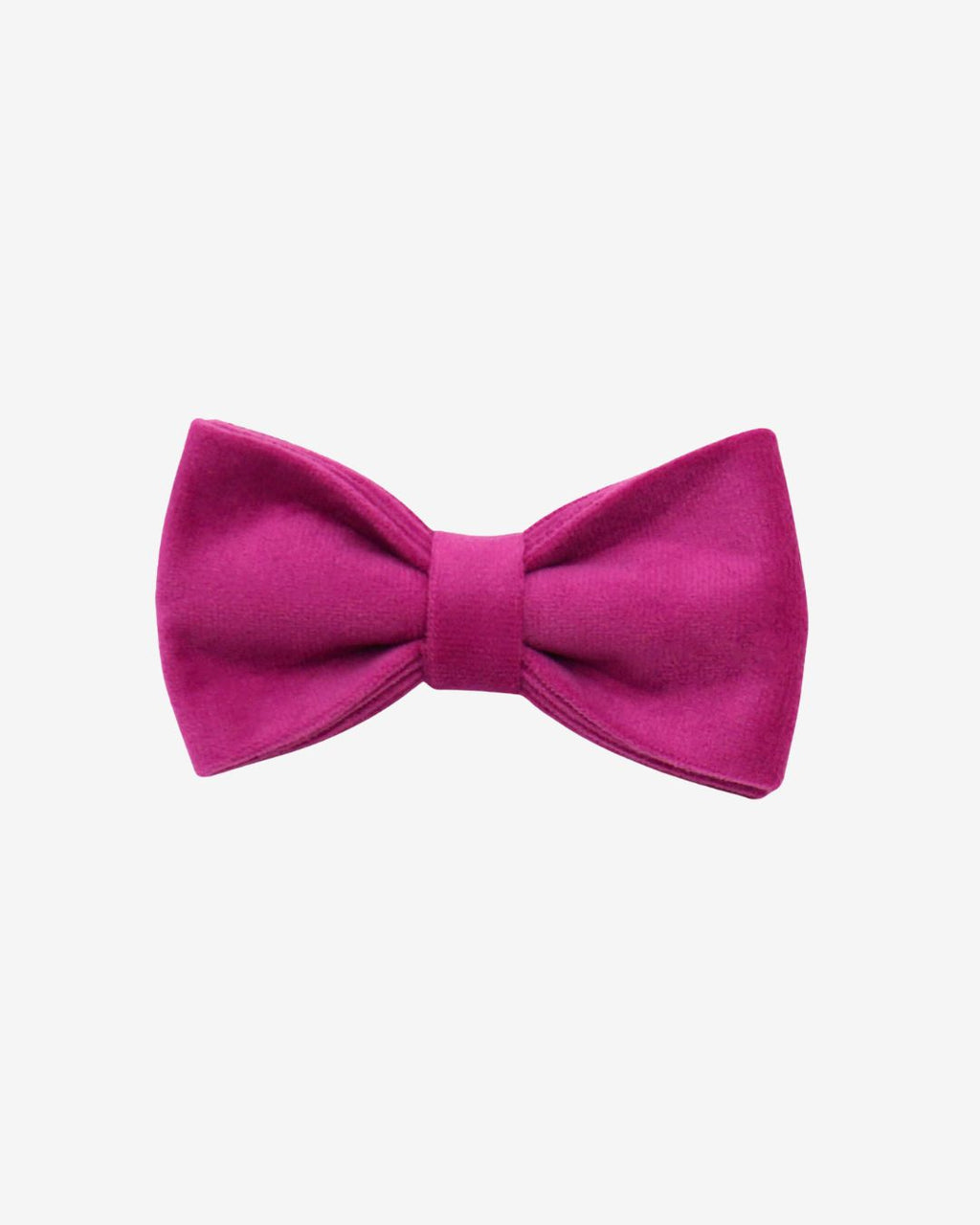 STUDIO | Flamingo Bowtie