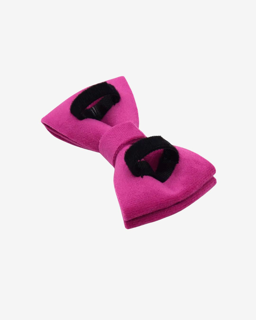 STUDIO | Flamingo Bowtie