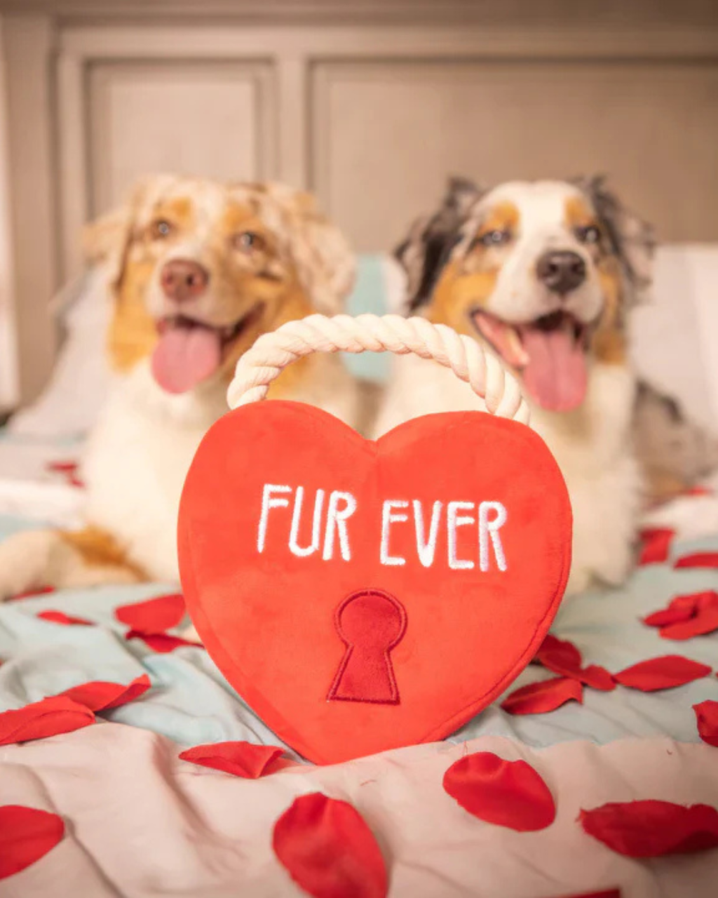 HUXLEY & KENT | Fur Ever Lock