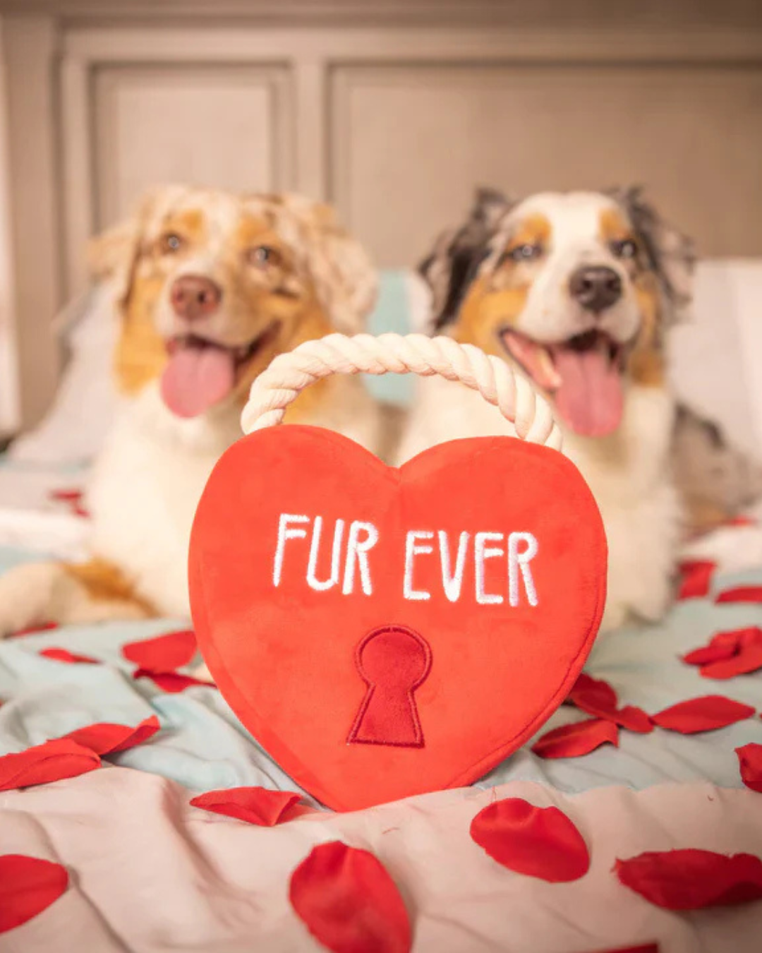 HUXLEY & KENT | Fur Ever Lock