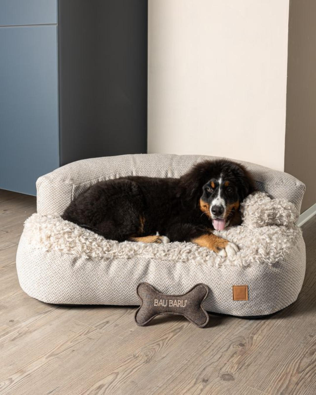 Hond liggend in de Bau Barù Il Sofà Baldo luxe hondensofa