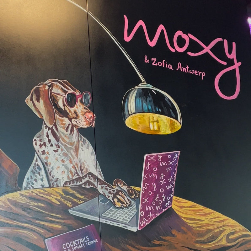 Kunstwerk van een hond achter een laptop in Moxy Antwerp, gemaakt in samenwerking met Zofia Antwerp