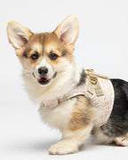Hond met Liu Jo Pets Beige Monogram hondentuigje