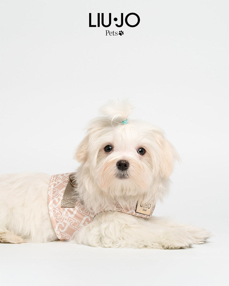 Hond met Liu Jo Pets Beige Monogram hondentuigje