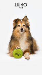 LIU JO | OPVOUWBARE HONDENKOMMEN GROEN