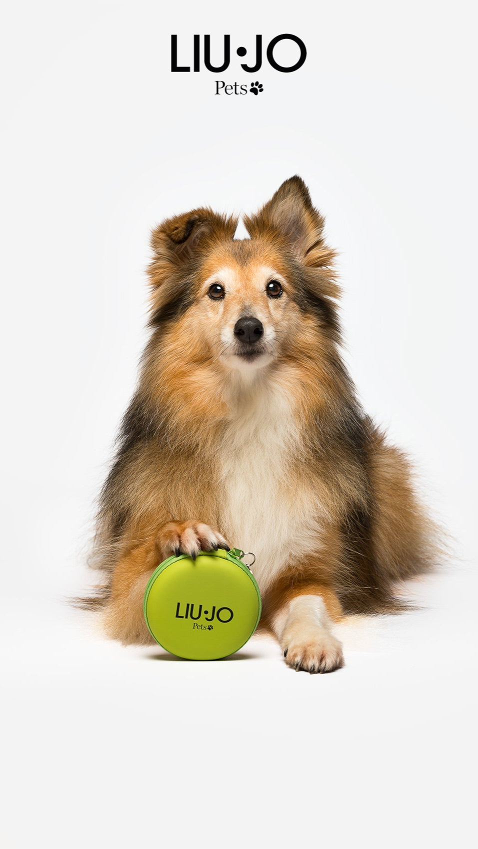 LIU JO | OPVOUWBARE HONDENKOMMEN GROEN