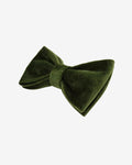STUDIO | Pistachio Bowtie